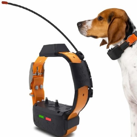 Collar GPS eSEEK para perros de caza — VHF + 4G