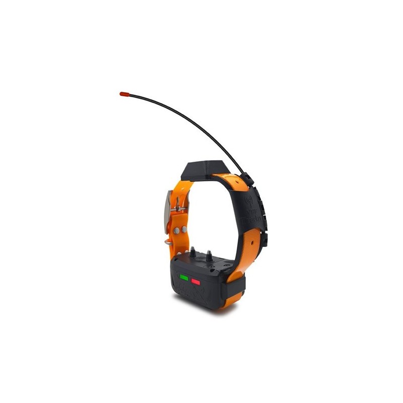 Eseek Pack Mando + Collar