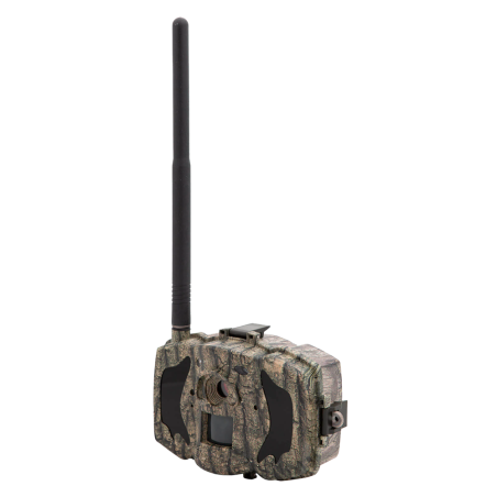 BolyGuard TRAILCAM-36M-4G | Cámara Fototrampeo 4G 36MP Profesional