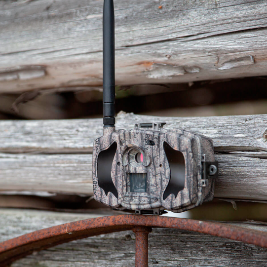 Cámara de Fototrampeo BolyGuard TRAILCAM-36M-4G: Vigilancia 4G y 36MP