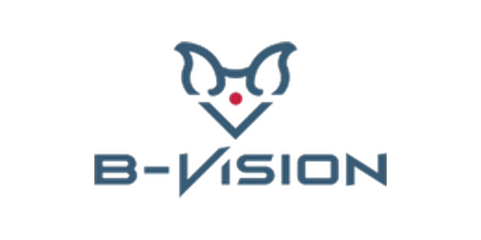 B-VISION
