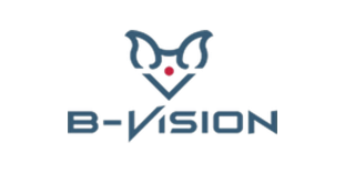 B-VISION
