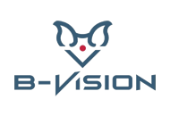B-Vision